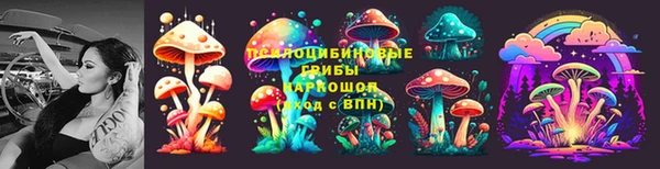 ГАЛЛЮЦИНОГЕННЫЕ ГРИБЫ Алзамай