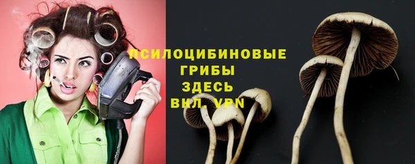 ГАЛЛЮЦИНОГЕННЫЕ ГРИБЫ Алзамай