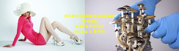 герыч Алексин