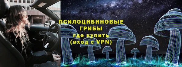 ГАЛЛЮЦИНОГЕННЫЕ ГРИБЫ Алзамай