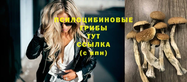 герыч Алексин