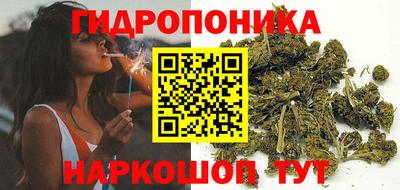 ешки Вышний Волочёк