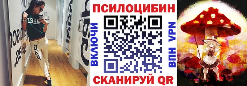 Псилоцибиновые грибы GOLDEN TEACHER  omg зеркало  Карабулак 