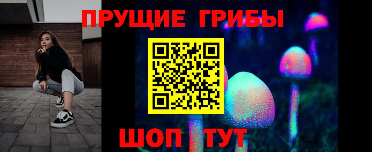 Галлюциногенные грибы Cubensis Карабулак